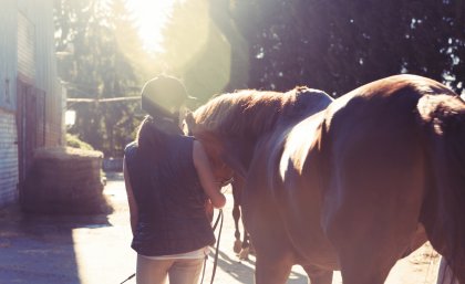 Researchers call for children to wear helmets around horses