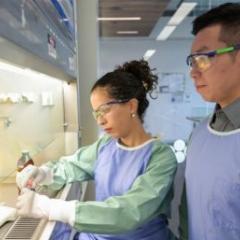 Professor Di Yu with colleague Dr Emely Hernández in the lab.