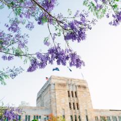 Lifesaving researchers recognised in Queen’s Birthday Honours